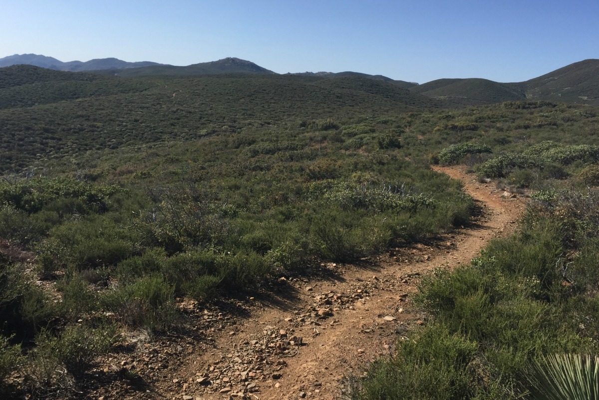 PCT World Class Trail 2018