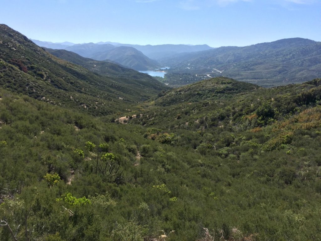 Looking Back at Lake PCT 2018