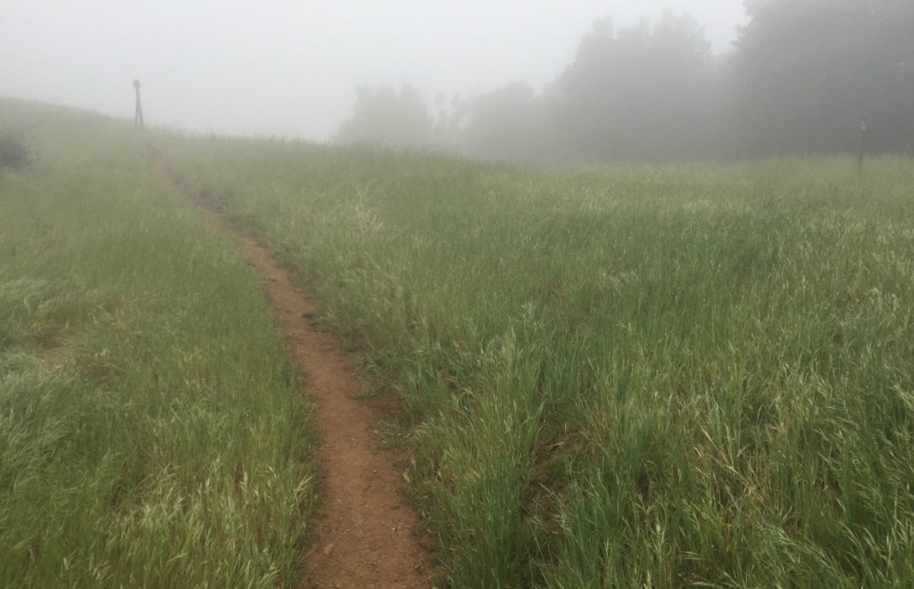 PCT Trail in Fog Pacific Crest Trail 2018