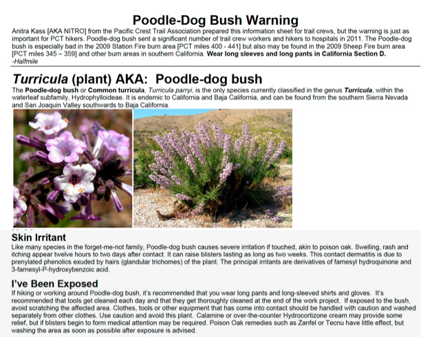 Poodle Dog Bush Pacific Crest Trail 2018