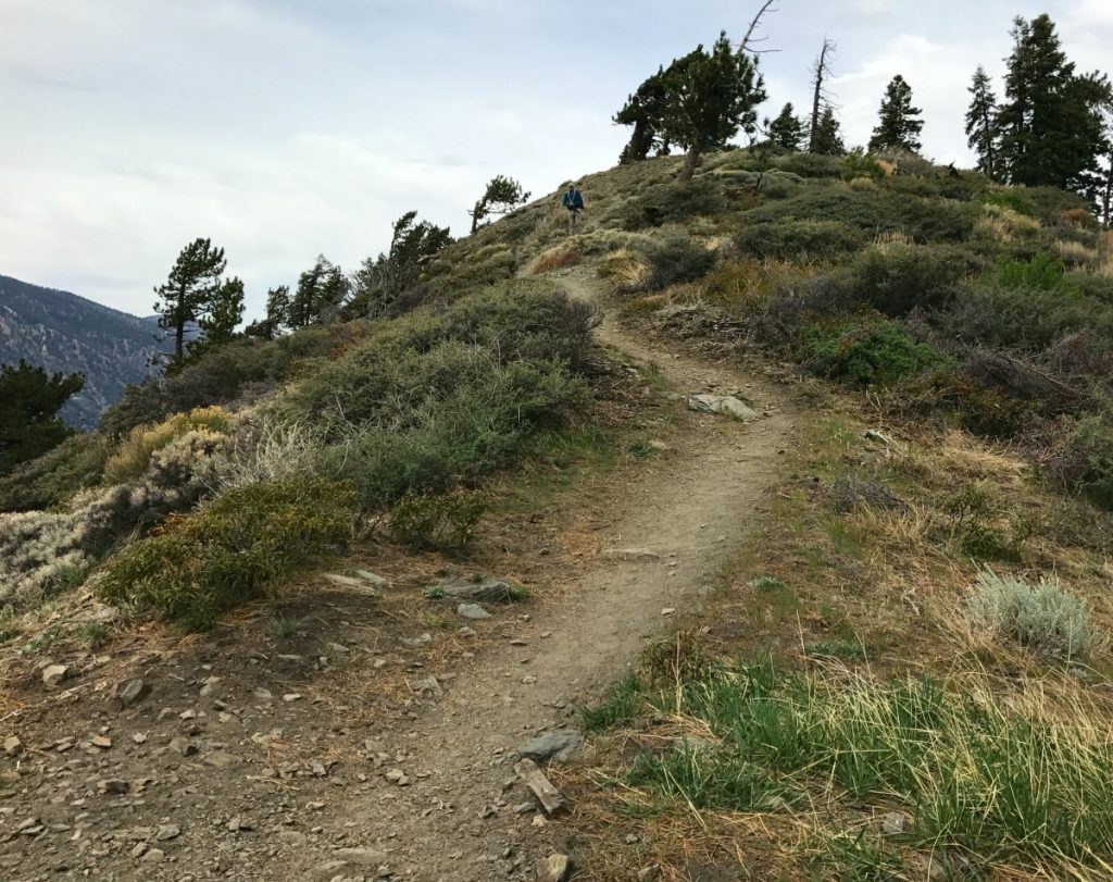 This Trail Sucks Pacific Crest Trail 2018