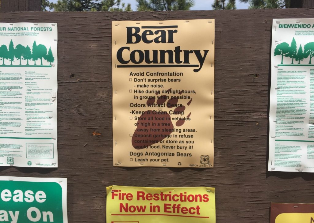 Welcome To Bear Country PCT 2018