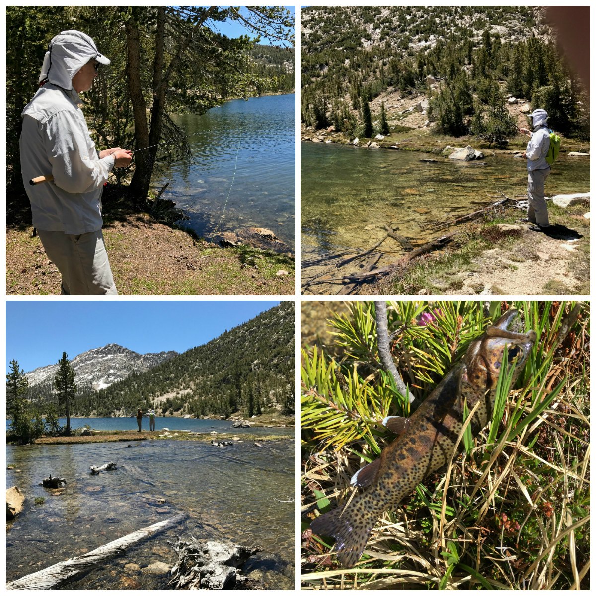 Fishing A tLake Charlotte PCT 2018