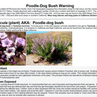Danger Will Robinson! Water Issues, Bees, Pit Bulls and Something Called a Poodle-Dog Bush?