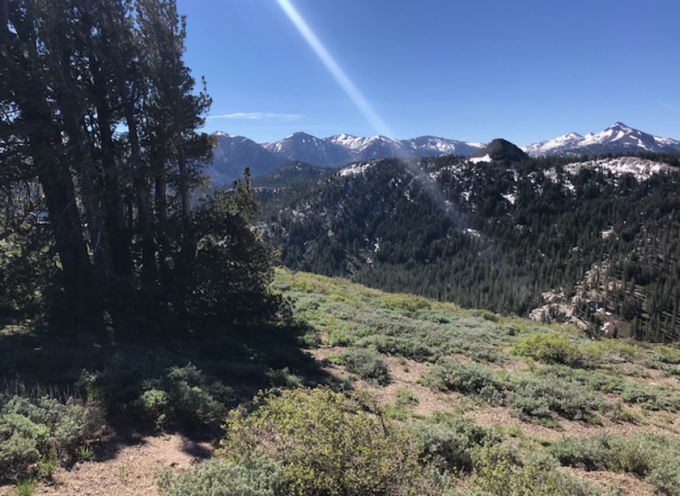 BetweenRidgecrestTahoe