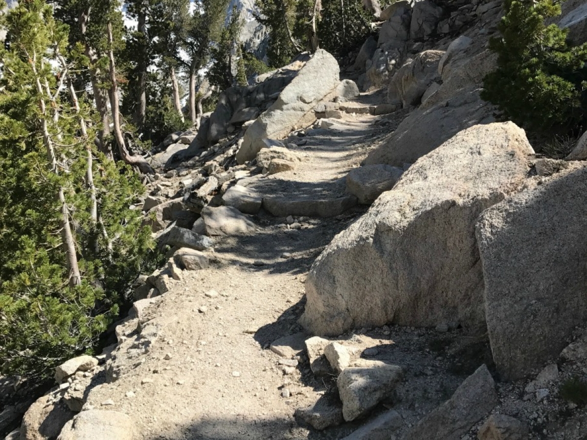 Forrested Trail PCT 2018