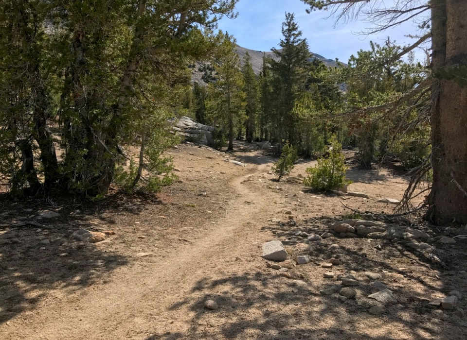 TrailOut